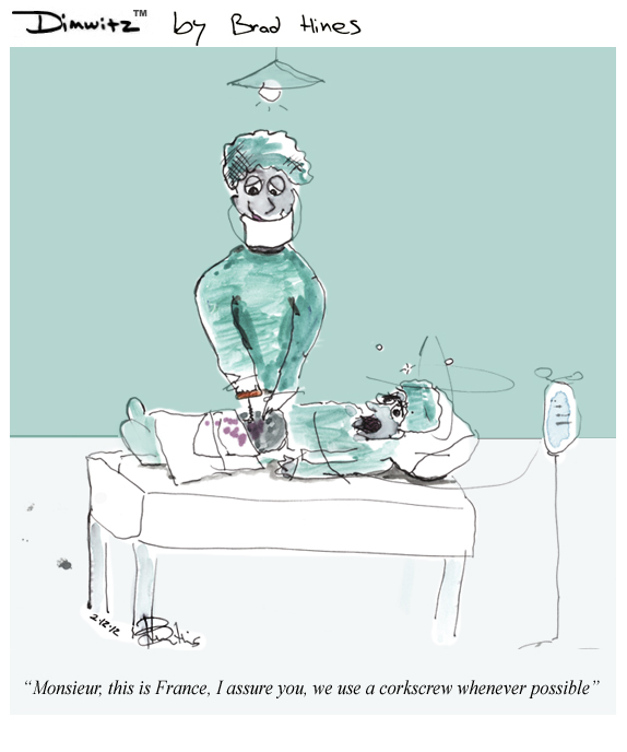 french surgery dimwitz by brad hines